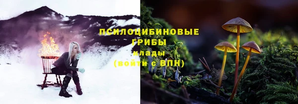 дмт Михайлов