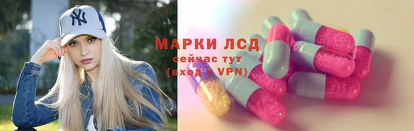 PSILOCYBIN Навашино