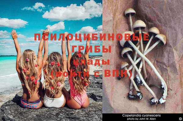 дмт Михайлов
