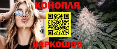 jwh Дубна