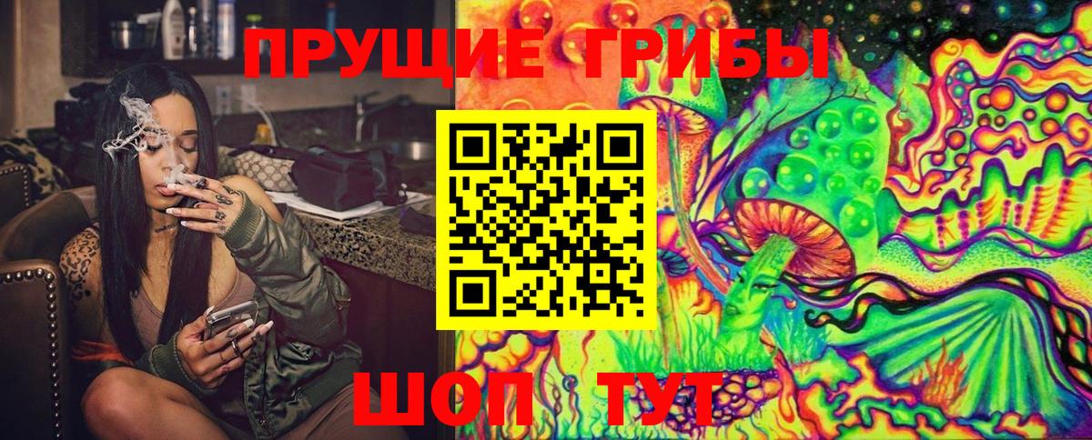 Псилоцибиновые грибы GOLDEN TEACHER Махачкала