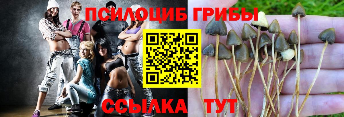 Махачкала  Галлюциногенные грибы Cubensis  Галлюциногенные грибы Psilocybine cubensis  Вход с VPN 